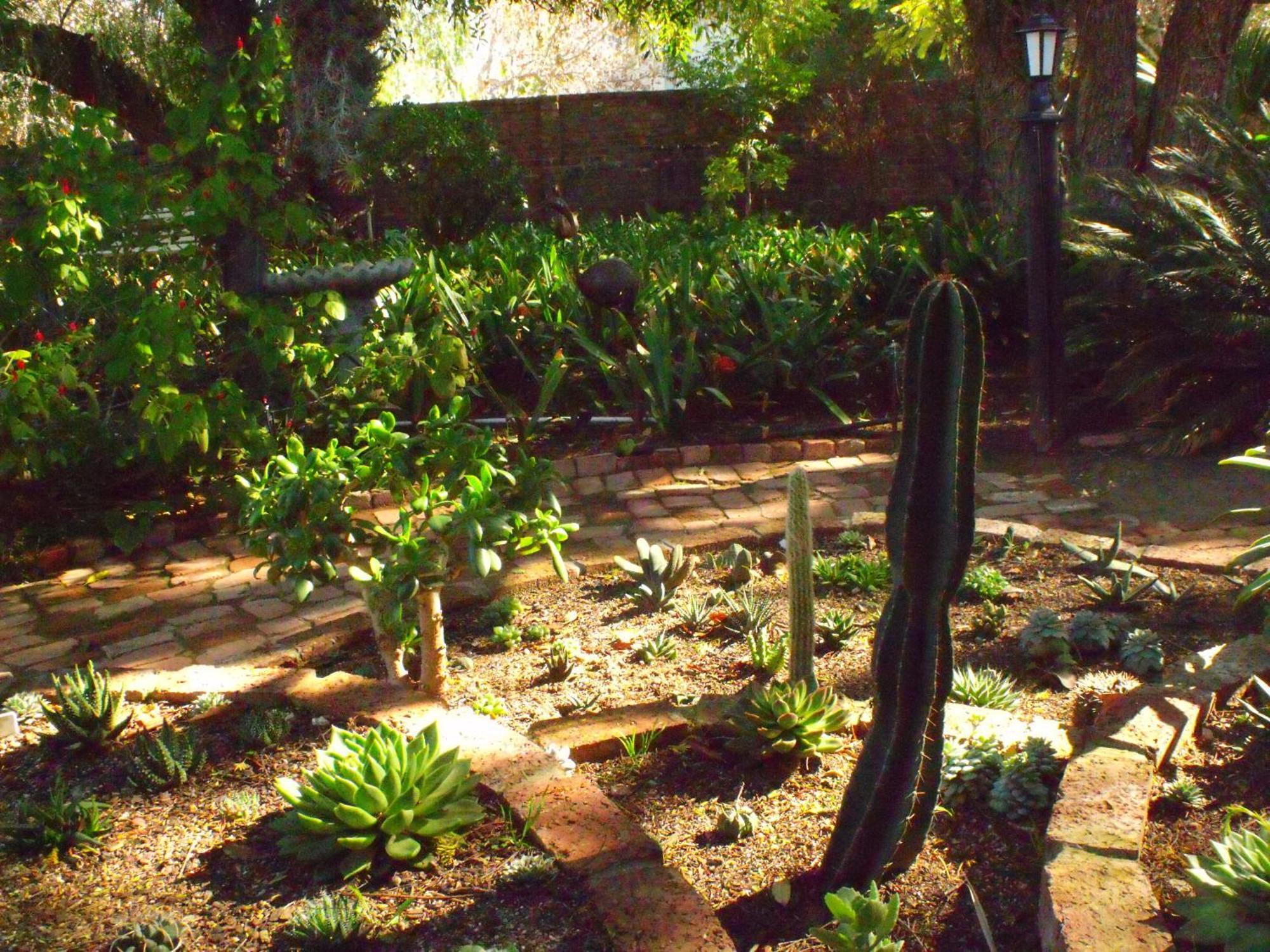 Bisibee Guest House Oudtshoorn Εξωτερικό φωτογραφία